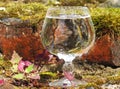 A glass of water on the ruins