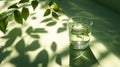 A glass of water is sitting on a table in front of a leafy tree Royalty Free Stock Photo