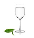 Glass of water and tea leaves on white background Royalty Free Stock Photo