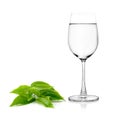 Glass of water and tea leaves on white background Royalty Free Stock Photo