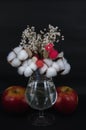 Art photo glass of water two apples and a bouquet of cotton and white flowers on a black background Royalty Free Stock Photo