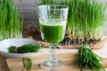 A glass of wheatgrass juice with freshly harvested wheatgrass