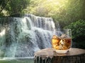 Glass of whiskey, on the wood log and the Morning waterfall background Royalty Free Stock Photo