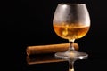 Glass of whisky and cigar on black background