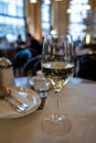 Glass of white dry Austrian wine served in cafe in Vienna, Austria