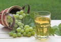 Glass of White Grape Juice Royalty Free Stock Photo