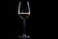 Glass of white wine on black Royalty Free Stock Photo