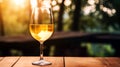 A glass of white wine on a blurred nature background, copy space Royalty Free Stock Photo