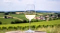 Glass of white wine on blurred vineyard background Royalty Free Stock Photo