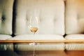 Glass with white wine Royalty Free Stock Photo