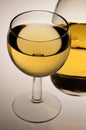 Glass of white wine and bottle Royalty Free Stock Photo