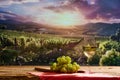 Glass of white wine and bunch of grapes on a wooden table. Blurred vineyard with rows of grapevine on background Royalty Free Stock Photo