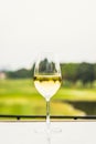 A glass of white wine chardonnay sauvignon blanc riesling wine bar Royalty Free Stock Photo