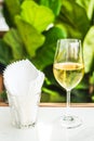 A glass of white wine chardonnay sauvignon blanc riesling wine bar Royalty Free Stock Photo