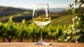 glass white wine cheers Royalty Free Stock Photo