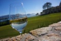 Glass of white wine reflecting golf course Royalty Free Stock Photo