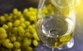 Glass of white wine grapes autumn aligote vintage on a concrete background