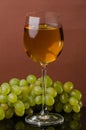 Glass with white wine and grapes. Still life Royalty Free Stock Photo