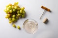 Glass of white wine, green grapes and corkscrew on white background, with copy space Royalty Free Stock Photo