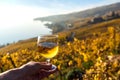 Glass of white wine in the hand against vineyards in Lavaux region, Switzerland Royalty Free Stock Photo