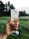 Glass of white wine with ice in hand Royalty Free Stock Photo