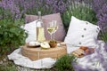 Glass of white wine in a lavender field. Violet flowers on the background. Royalty Free Stock Photo