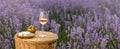 Glass of white wine in a lavender field. Violet flowers on the background. Royalty Free Stock Photo