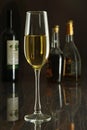 Glass of white wine on mirror table. bottles in a bar on the background Royalty Free Stock Photo