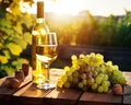 glass of white wine with ripe grapes and a bottle on a table. Royalty Free Stock Photo