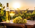 glass of white wine with ripe grapes and a bottle on a table. Royalty Free Stock Photo