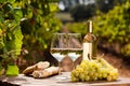 Glass of White wine ripe grapes and bread on table in vineyard Royalty Free Stock Photo