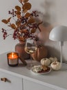 A glass of white wine, a snack, autumn decor on a white chest of drawers in a cozy living room