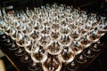 Glass of white wine on a table. Many glass wine in a row on bar counter. Shallow depth of field. Glasses with wine. Filled with Royalty Free Stock Photo