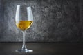 Glass with white wine for tasting in dark cellar Royalty Free Stock Photo