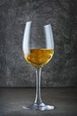 Glass with white wine for tasting in dark cellar Royalty Free Stock Photo