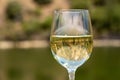 Glass of white wine on a cruise boat on Douro river in Portugal Royalty Free Stock Photo