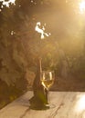 Glass with white wine in vineyard on old table. Vineyard at sunset. White wine glass, wine bottle and white grape on wood table