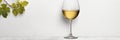 Glass of white wine on white wooden background Royalty Free Stock Photo