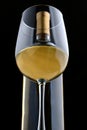 A glass of white wine and wine bottle Royalty Free Stock Photo