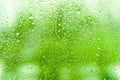 Glass window with rainy droplets green trees on background. water drops on dripped wet background pane in a rainy days. natural g