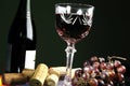 Glass with wine Royalty Free Stock Photo