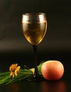 Glass of wine, apple and grass Royalty Free Stock Photo