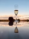 A glass of wine and an apple are reflected in the mirror surface of the table Royalty Free Stock Photo