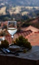 Glass wine on a background of mountains Royalty Free Stock Photo