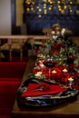 Vertical photo of a glass of wine and a beautifully served plate surrounded by candles and rose petals Royalty Free Stock Photo