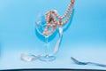 In a glass of wine on a blue background are beads of pink pearls Royalty Free Stock Photo