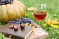 Glass of wine, book and chestnuts on wooden board outdoors. Autumn picnic Royalty Free Stock Photo