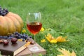 Glass of wine, book and chestnuts on wooden board outdoors, space for text. Autumn picnic Royalty Free Stock Photo