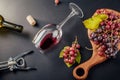 A glass of wine with a bottle, corkscrew and grapes Royalty Free Stock Photo