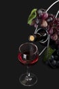Glass with wine, bottle and vine isolated on black Royalty Free Stock Photo